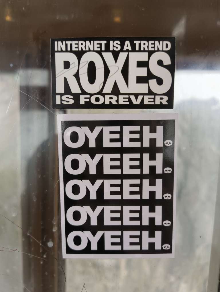 oyeeh👑 owns the neighborhood.  no idea what roxes is, but I like the attitude! 